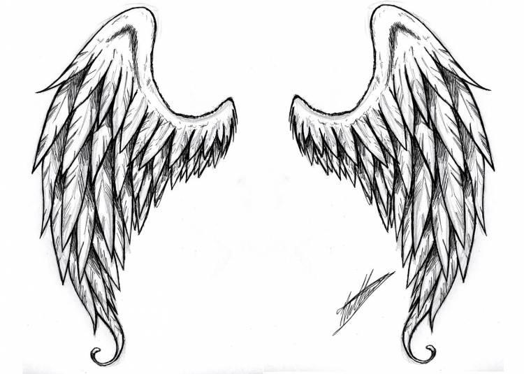 Крылья рисунок карандашом