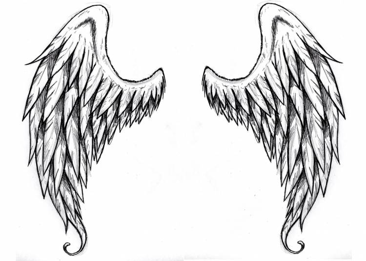 Рисунки для срисовки крылья