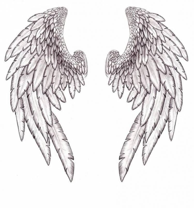 Ангельское крыло рисунок