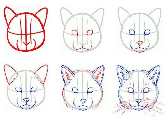 Как нарисовать кошку карандашом поэтапно для начинающих