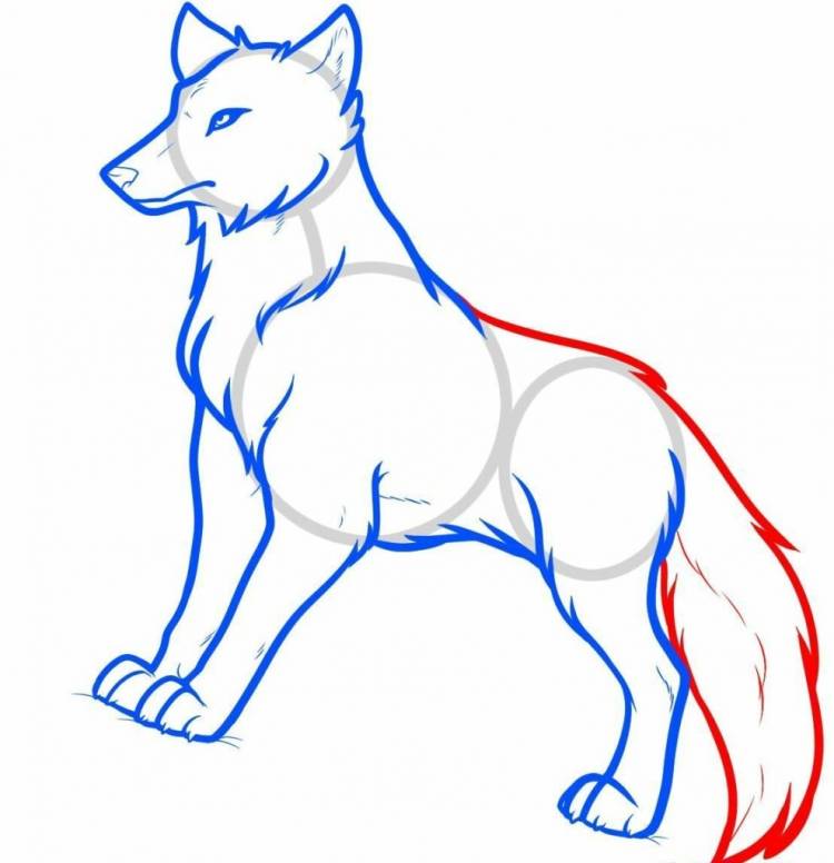 Рисунки карандашом для срисовки лёгкие волк