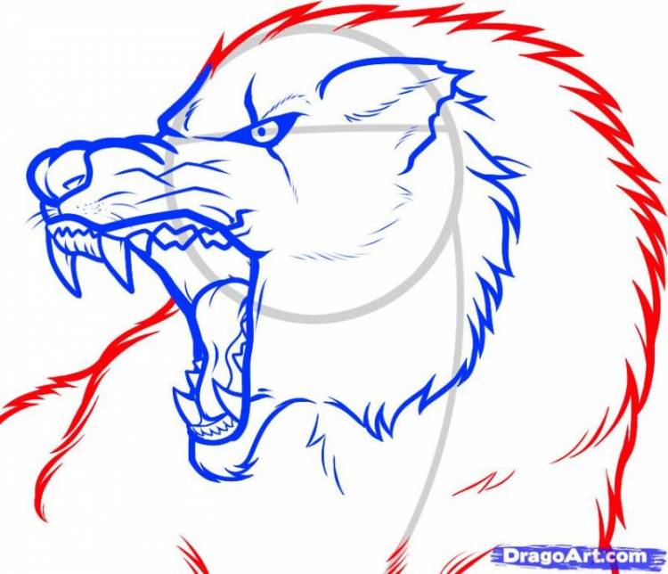Как нарисовать голову злого волка поэтапно
