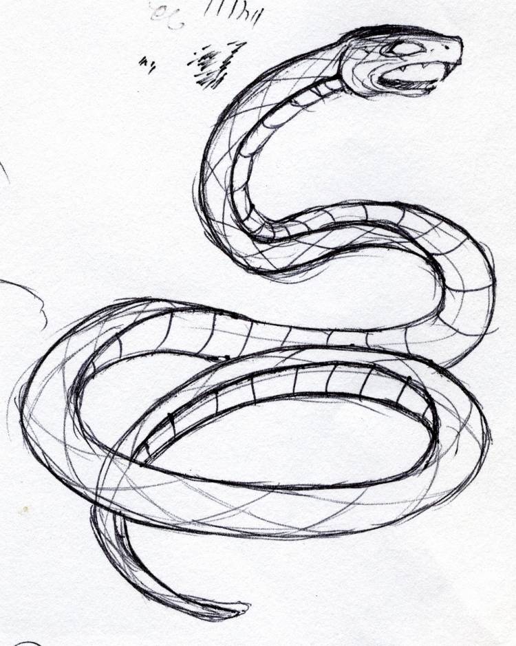 Змеи рисунок карандашом для срисовки