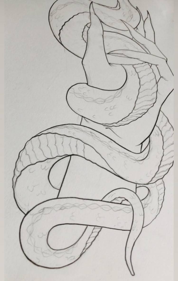 Змея рисунок карандашом легкий