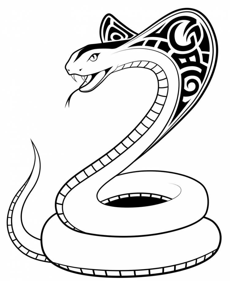 Рисунок карандашом легкий змея