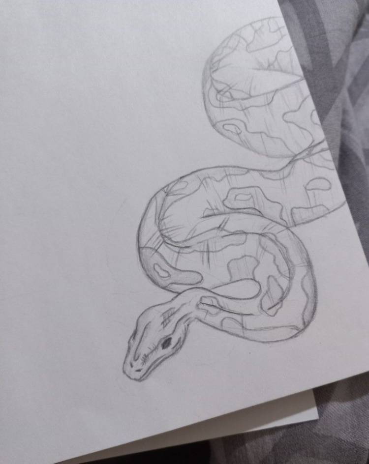 Рисунок животное змея художник