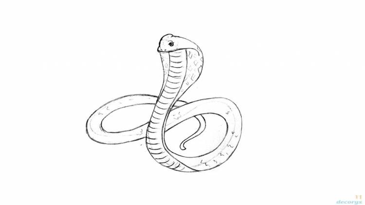 Рисунки змей для срисовки легкие