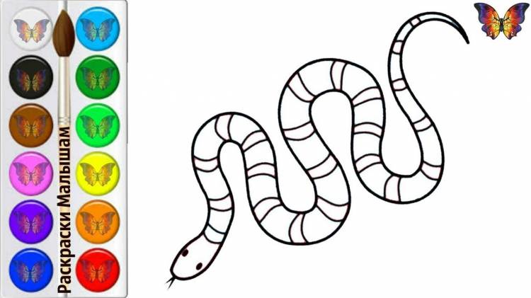 ✿How to draw and color a snake