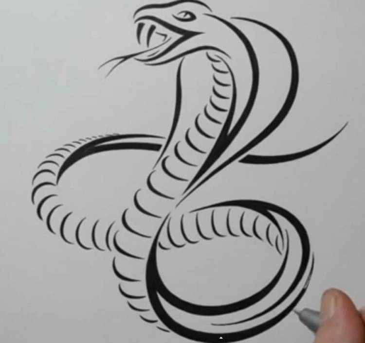 Как нарисовать татуировку змеи поэтапно