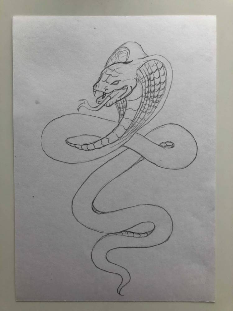 Как нарисовать змею карандашом поэтапно