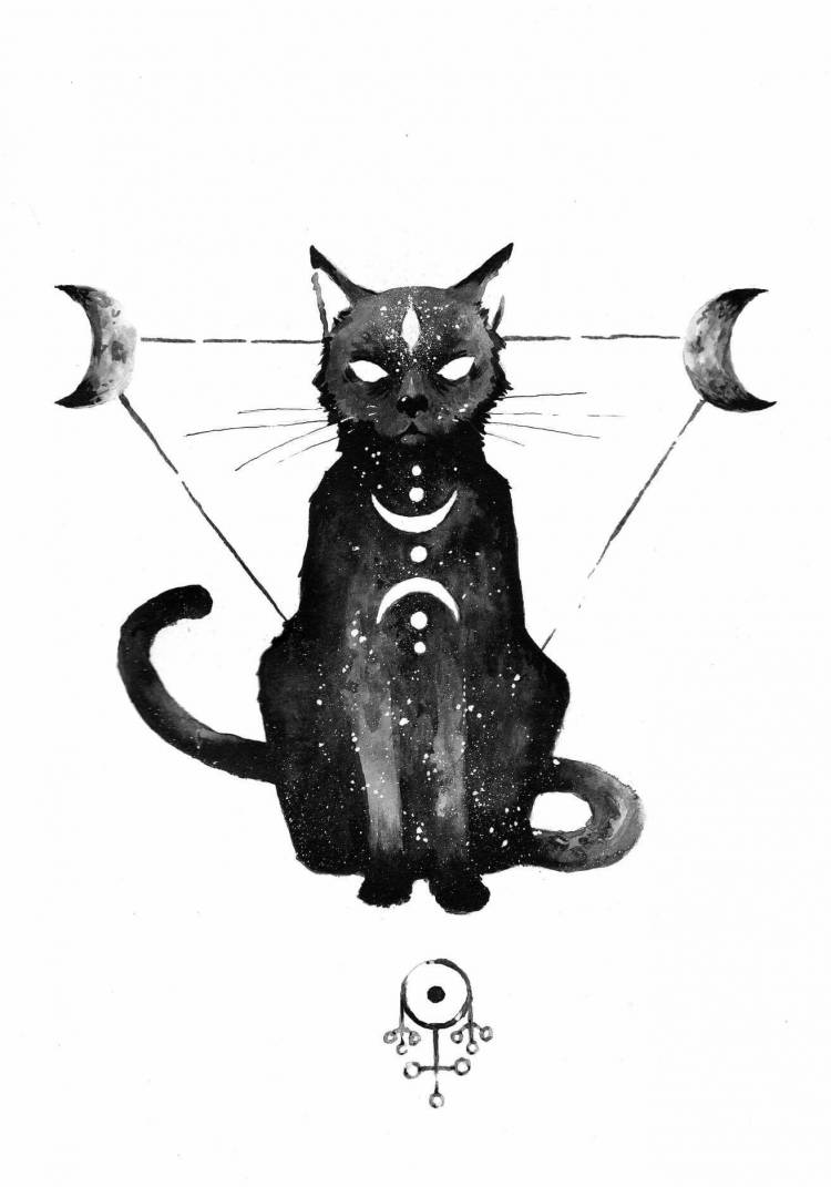 Черный кот рисунок карандашом
