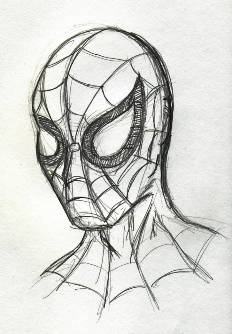 Человек паук рисунок легкий