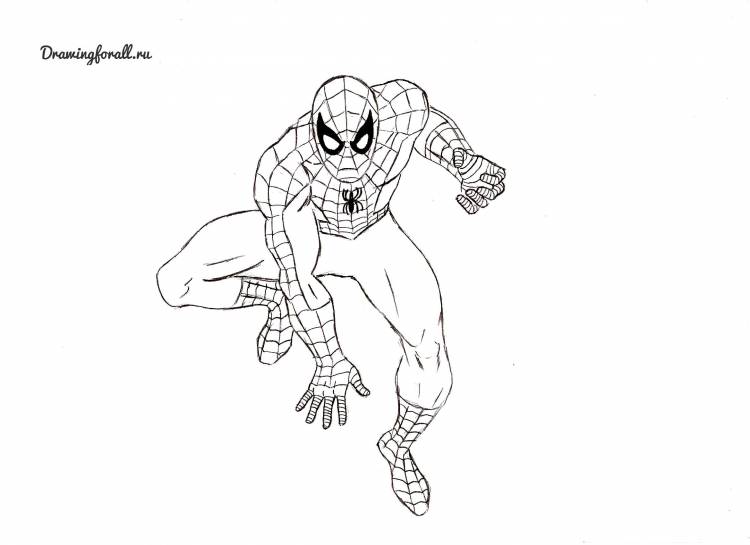 Человек паук рисунки карандашом для срисовки