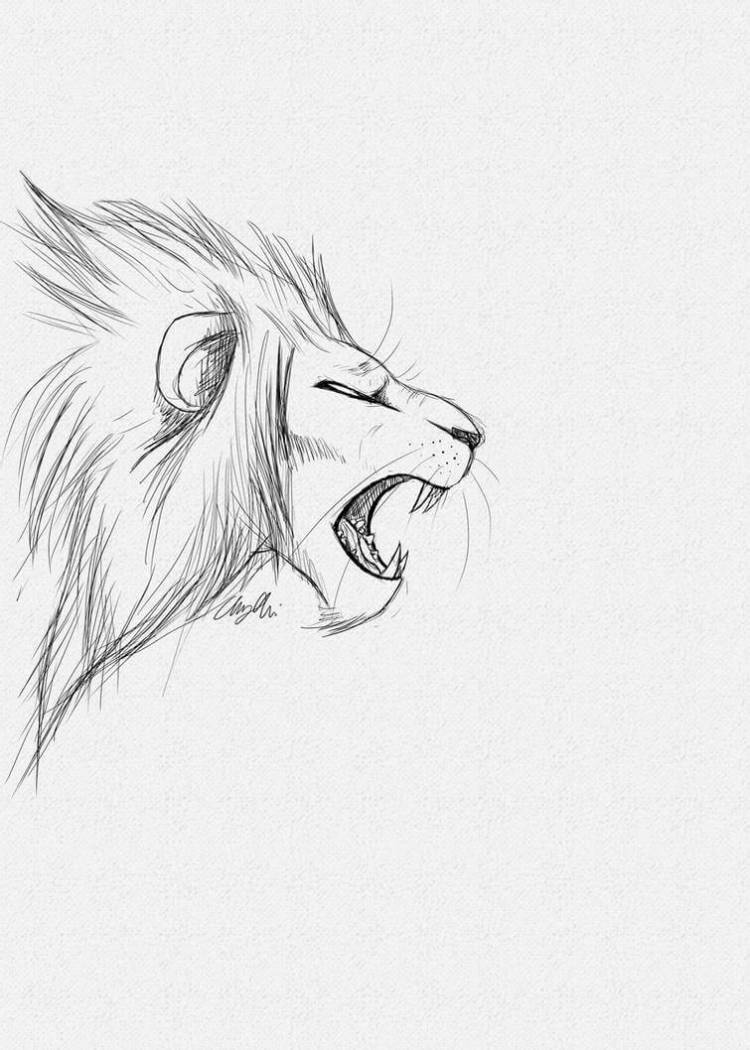 Рисунки для срисовки карандашом легкие Лев