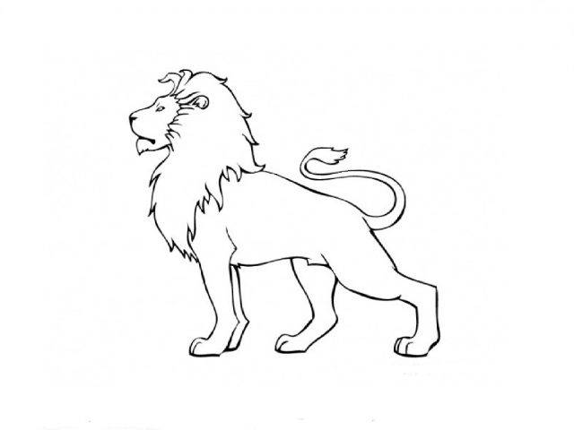 Рисунки льва для срисовки 