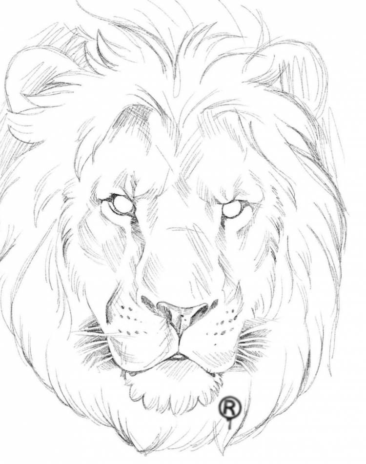 Легкие рисунки льва