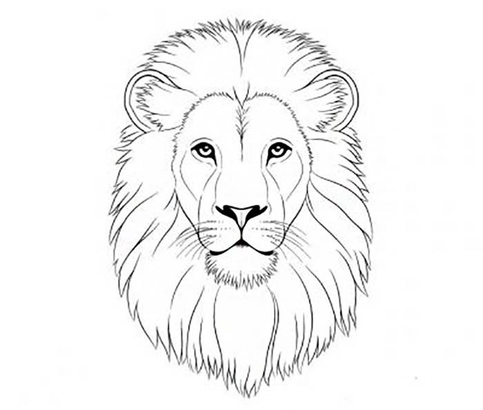 Рисунки львов для срисовки 