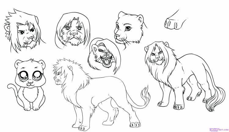 Легкие рисунки льва для начинающих 