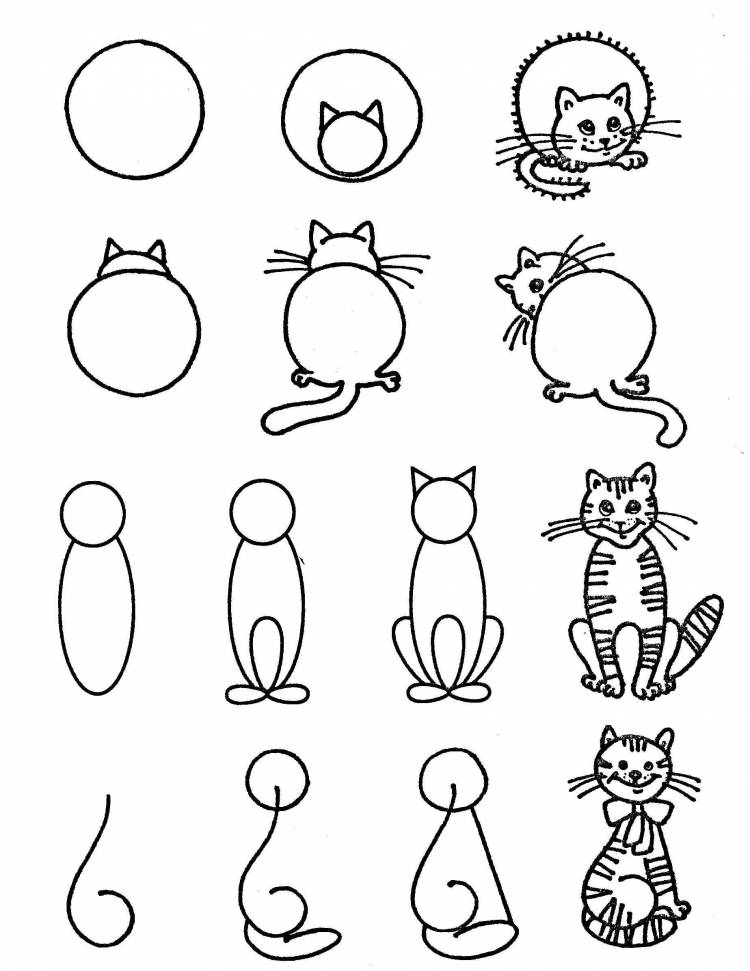 Кошка рисунок для детей простой карандашом