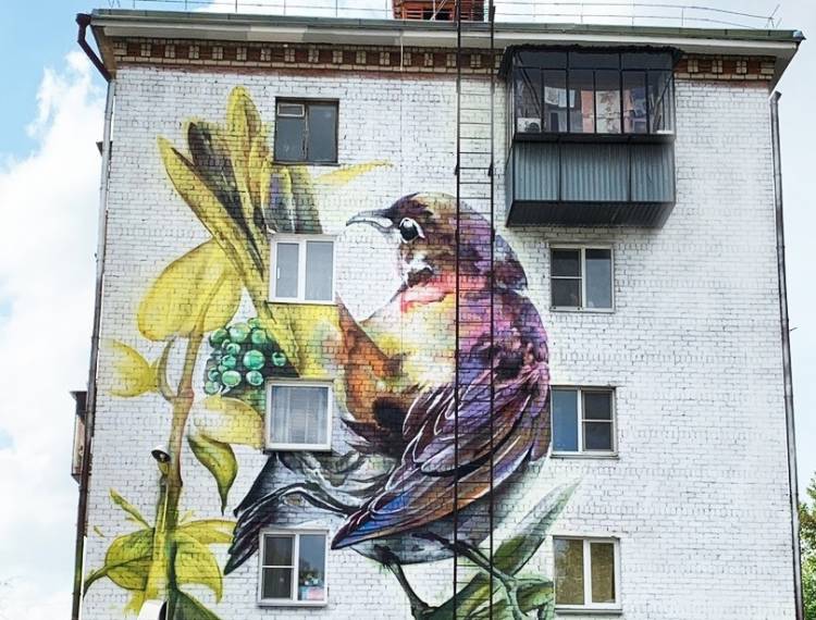 Три новых масштабных граффити появились на фасадах домов в Челябинске