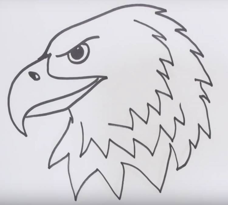 Рисунки орла легкие