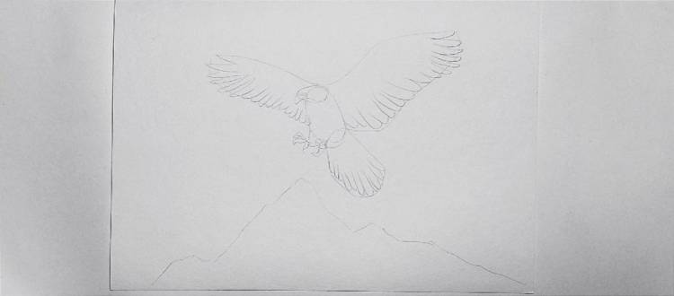 Как нарисовать орла