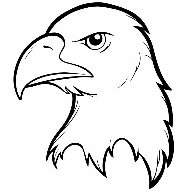 Орел рисунок легкий