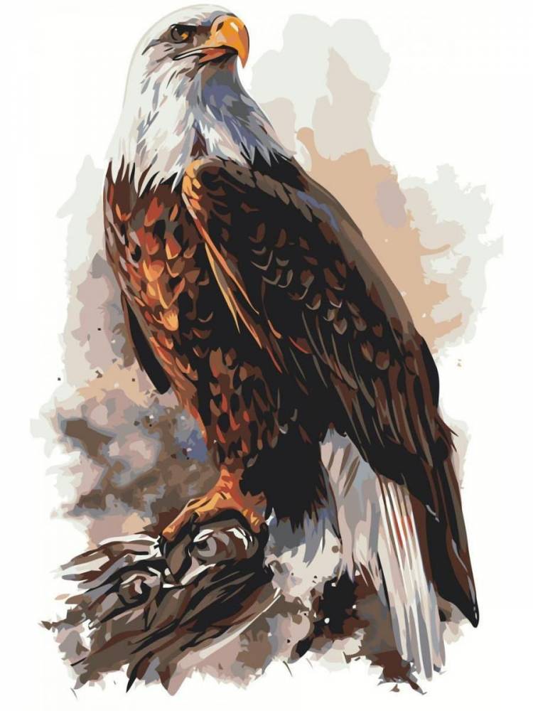 Орел рисунок цветной
