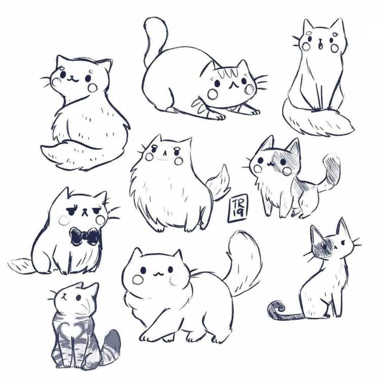 Простые рисунки котиков