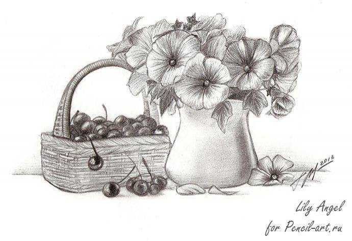 цветы карандашом рисунки