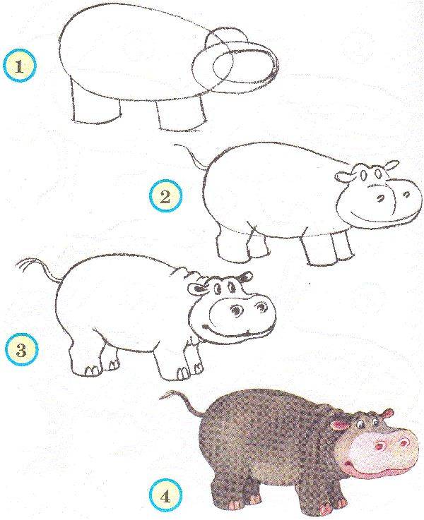 Как рисовать бегемота » Prostoykarandash