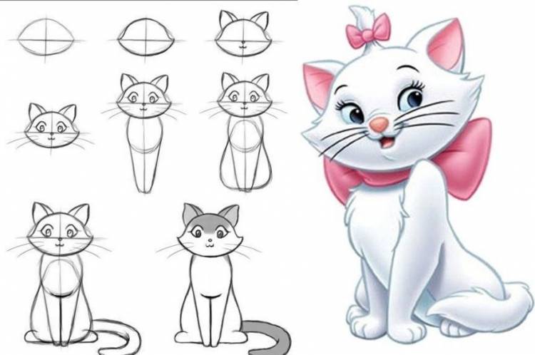 Леди-кошка рисунок для начинающих