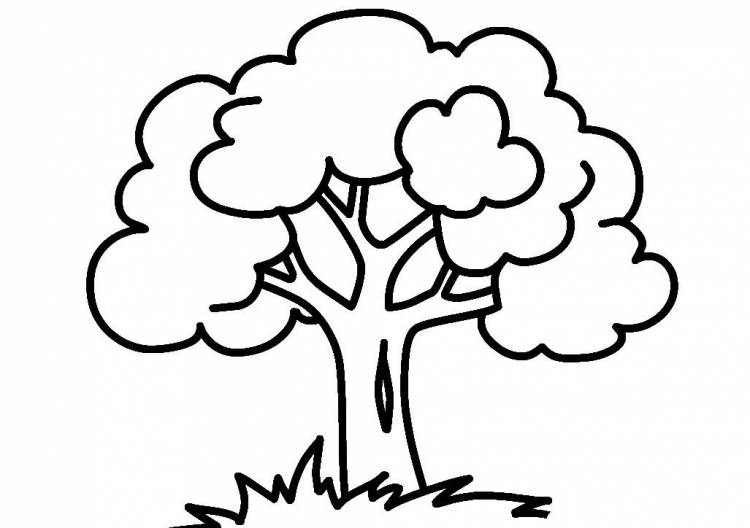 Дерево контурный рисунок для детей 