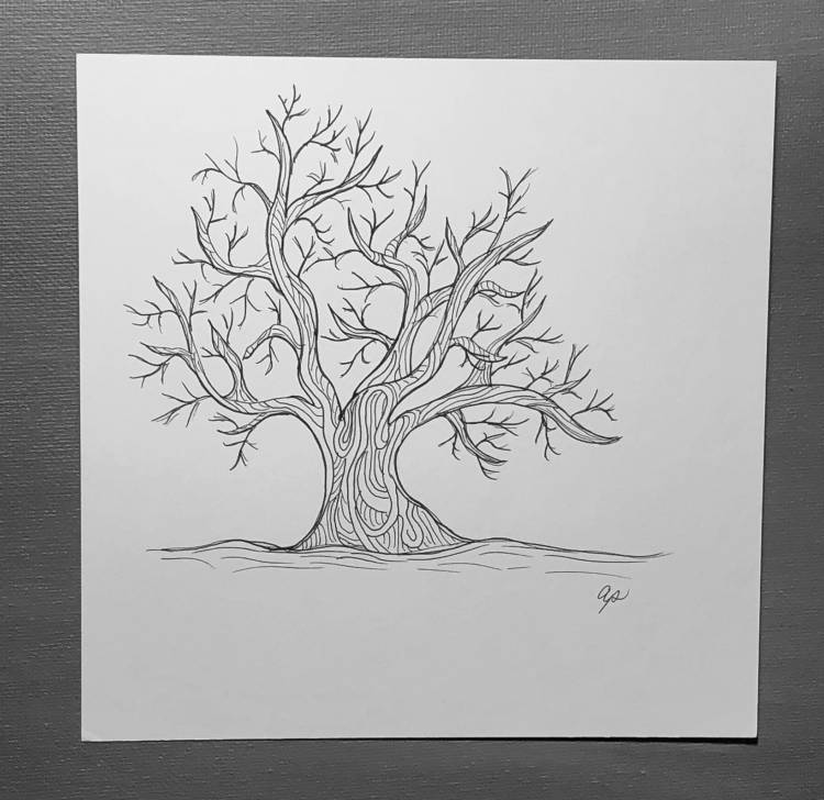 Дерево рисунок для срисовки