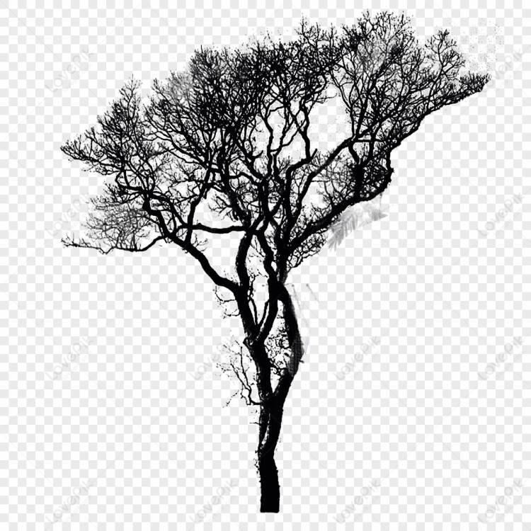 Зимнее дерево изображение_Фото номер