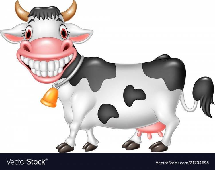 Корова прикольный рисунок
