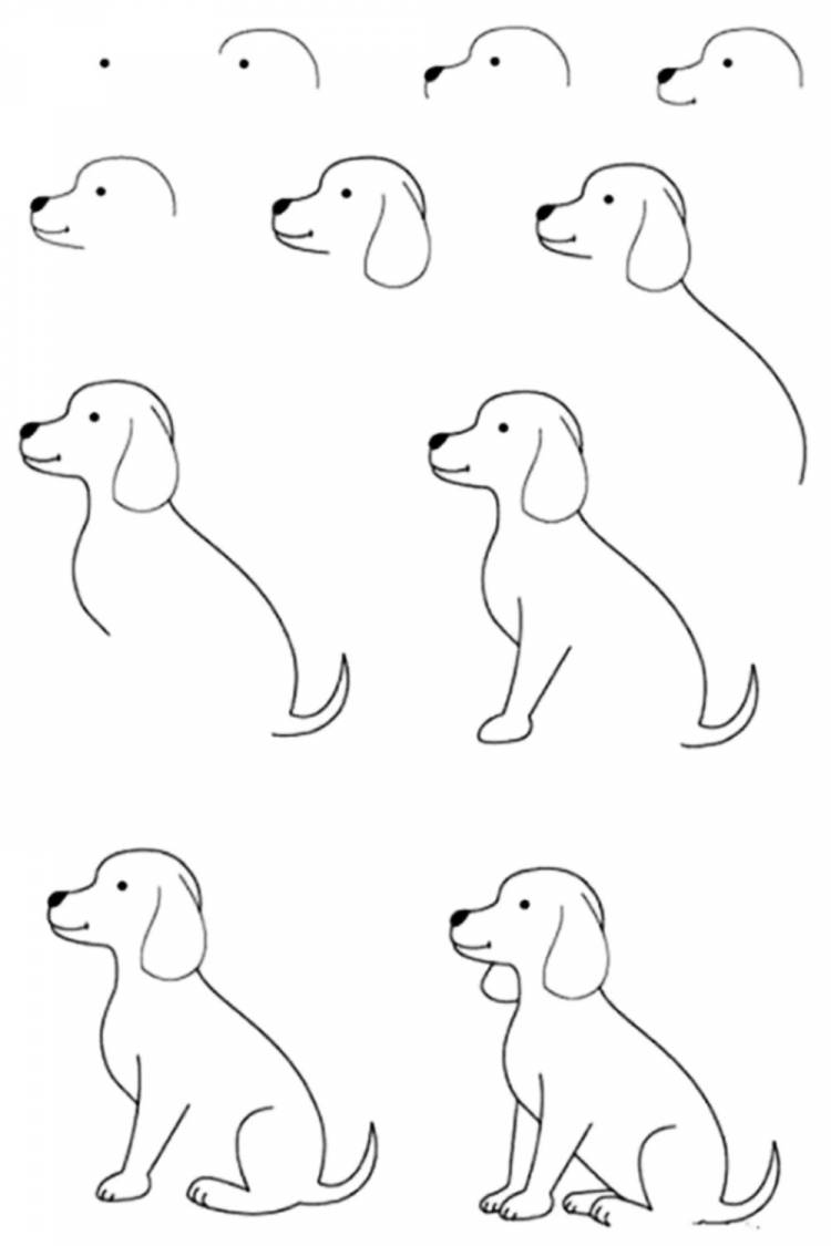 Рисунок собаки карандашом для срисовки легкие