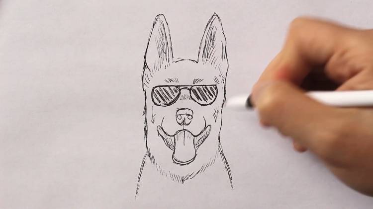 Легкие рисунки собак для срисовки