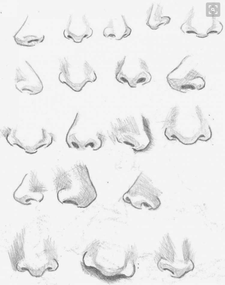 Как нарисовать нос человека карандашом