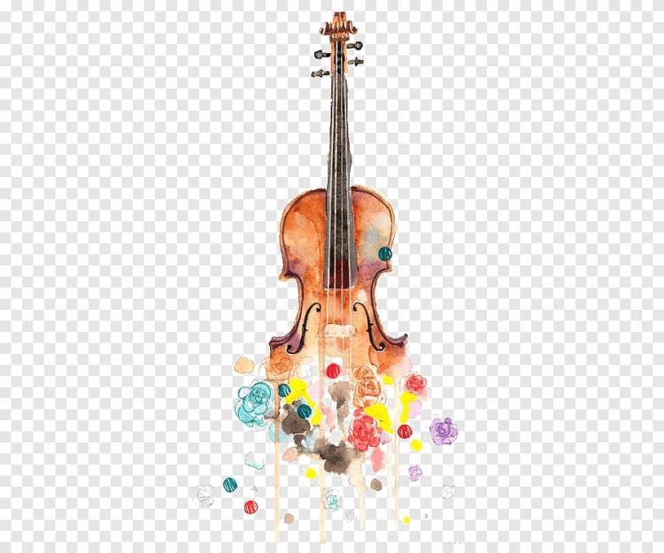 раскрашенная вручную скрипка, рисунок на скрипке, музыкальные инструменты png