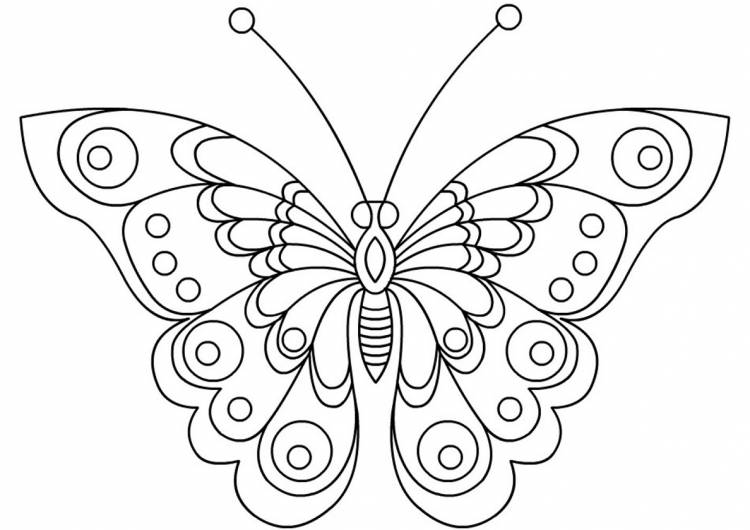 Раскраска Изысканные крылья бабочки распечатать на А