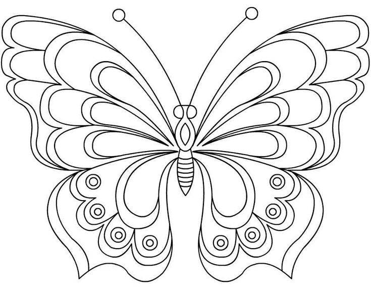 Бабочка