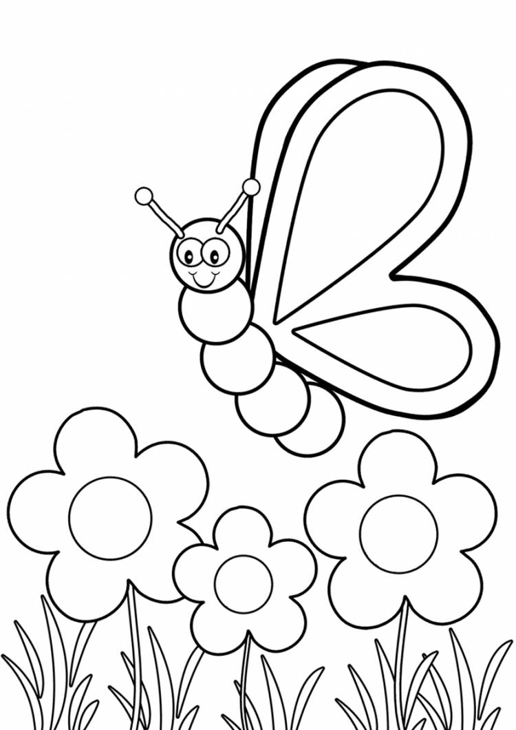 Раскраска Бабочка кружит над цветами распечатать