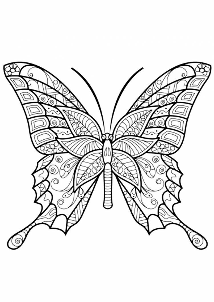 Раскраска Антистресс бабочка распечатать