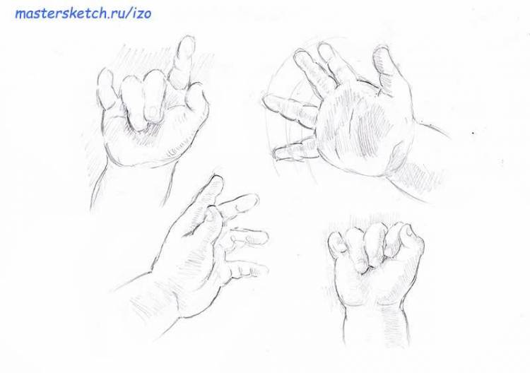 Как научиться рисовать кисть руки