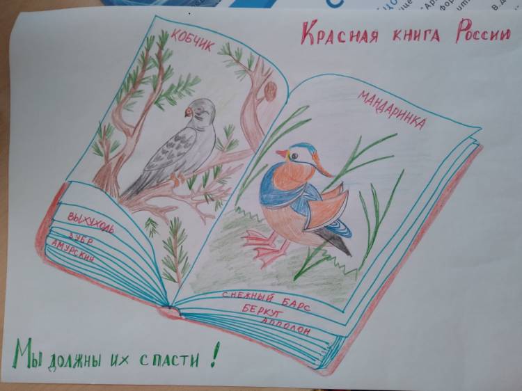 Рисунок на тему красной книги животные