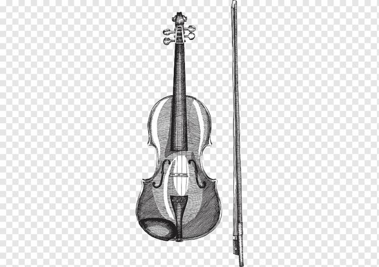 карандашный рисунок виолончель, виолончель, аккорд, рисунок карандашом png