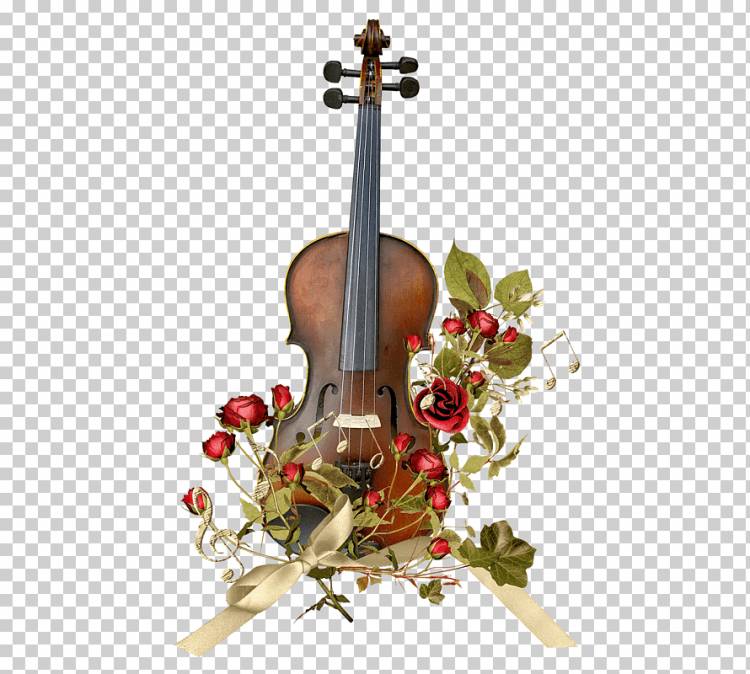 скрипка и цветы, цветы, скрипка, музыкальные инструменты png