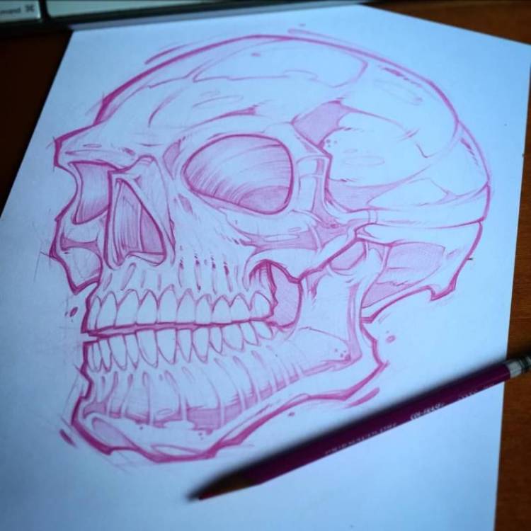 Как нарисовать череп человека карандашом