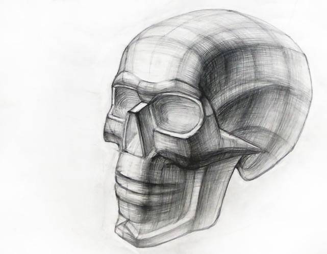 Академический рисунок черепа из гипса